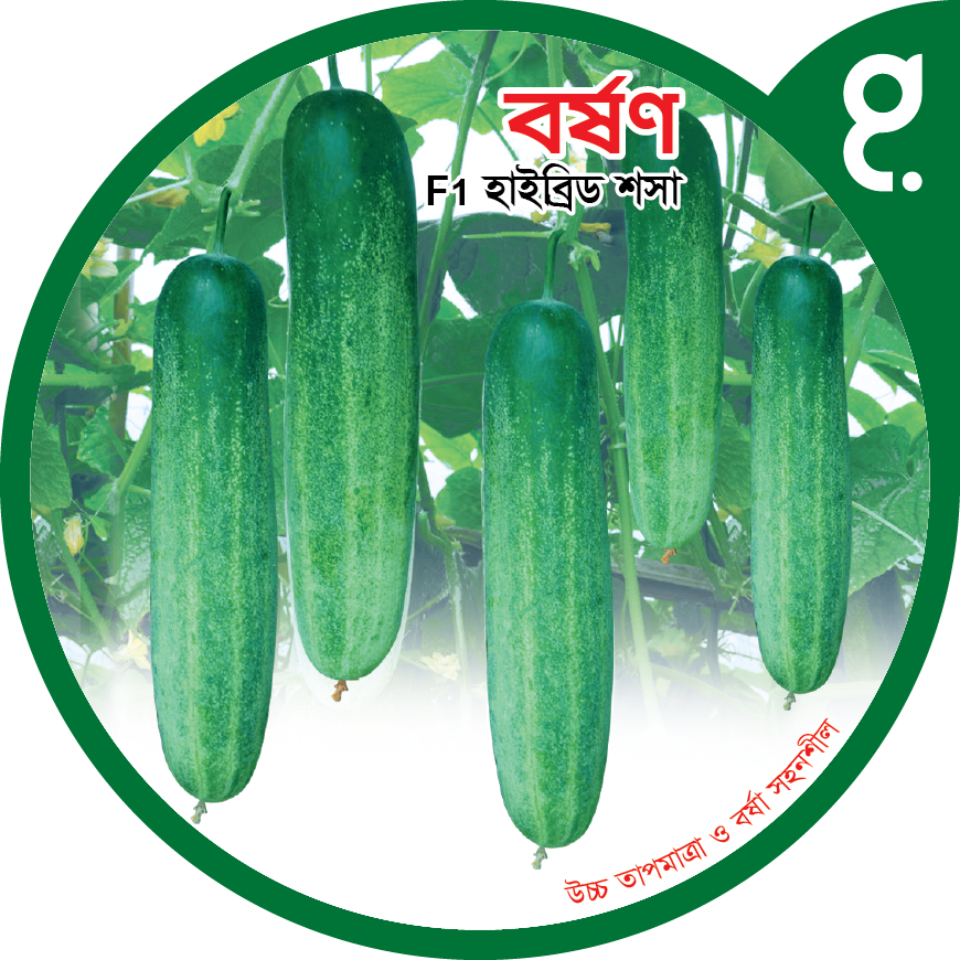 শসা বীজ