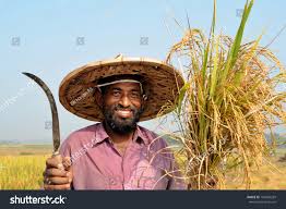 Farmer